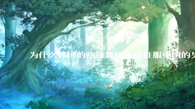 为什么韩国的热辣舞团无法征服中国的男性市场？？