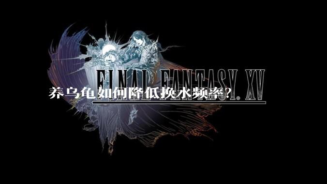 养乌龟如何降低换水频率？