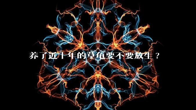 养了近十年的草龟要不要放生?