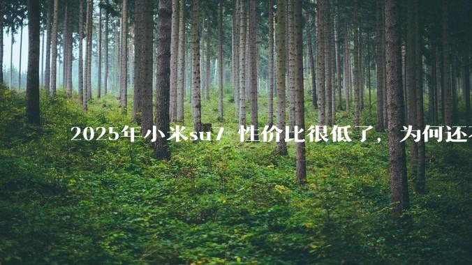 2025年小米su7 性价比很低了，为何还不更新改款？
