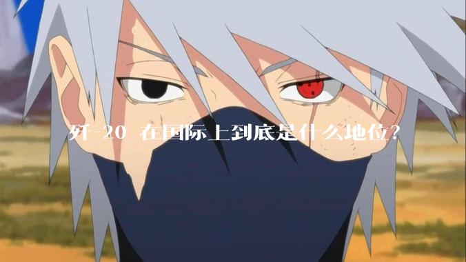 歼-20 在国际上到底是什么地位？