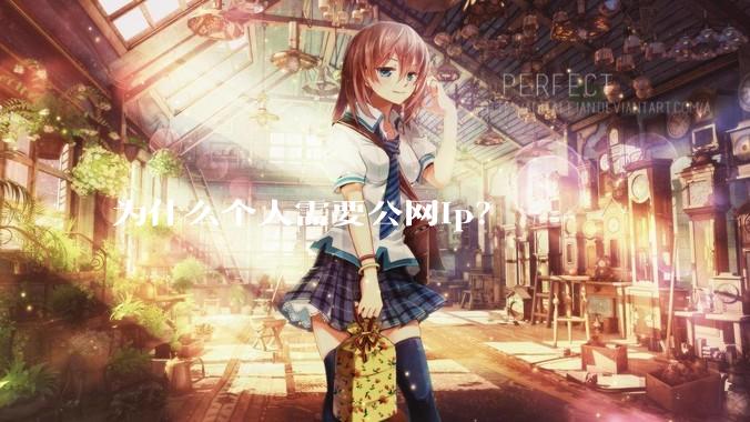 为什么个人需要公网ip？